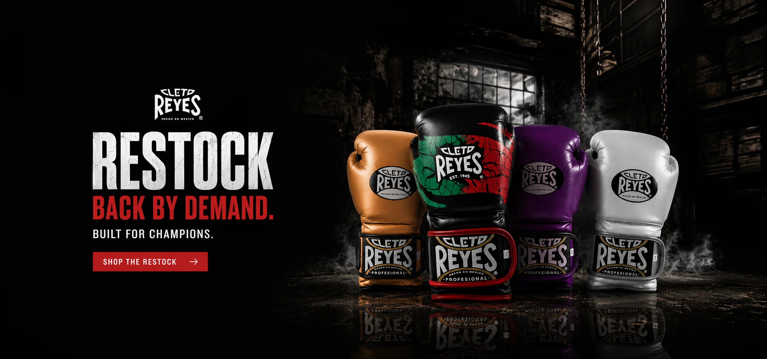 Master Your Fight Game
