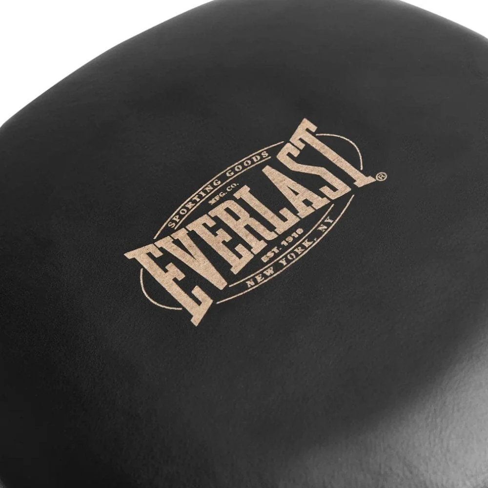 Everlast 1910 Pro Aircore Focus Mitts Black - Image 5