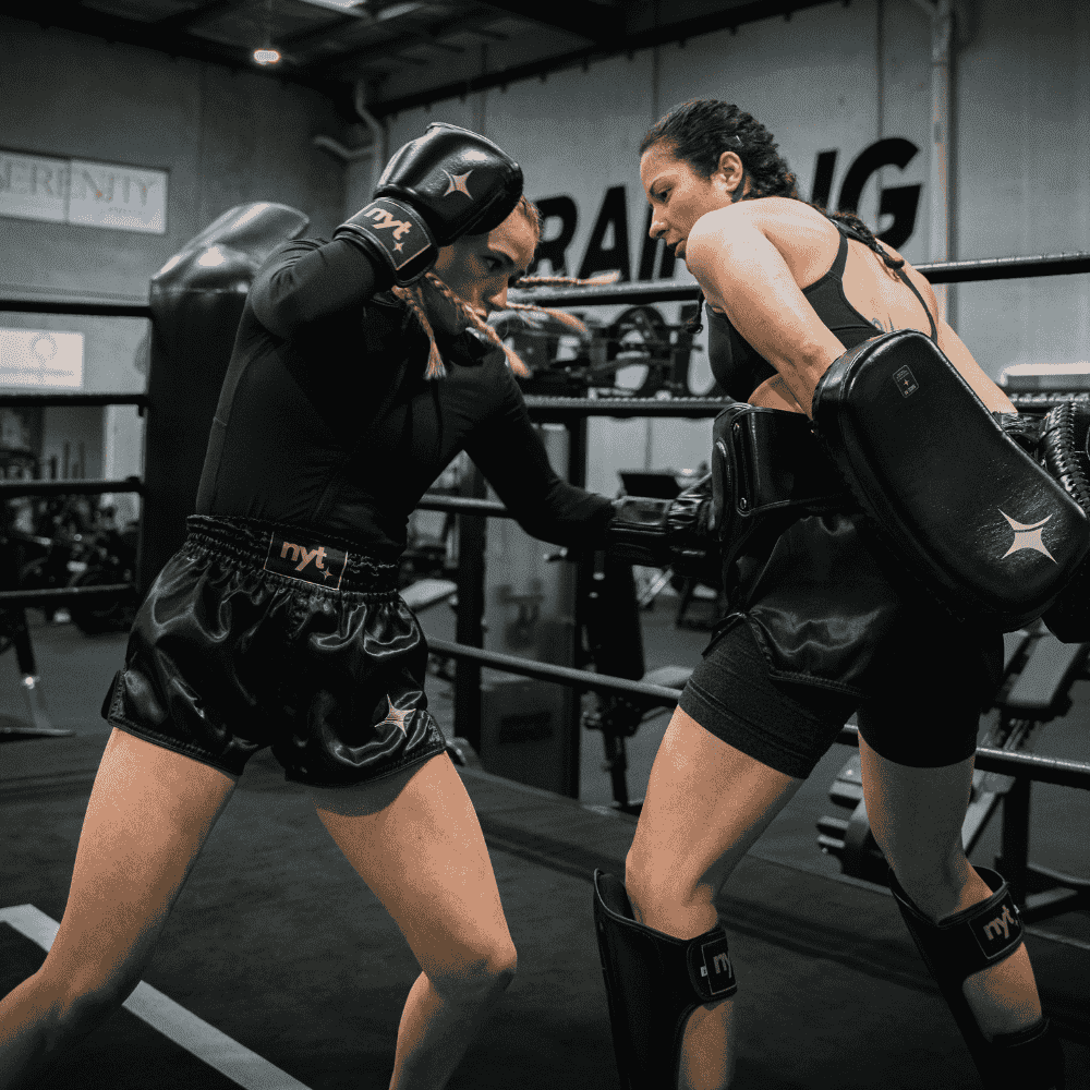 NYT Muay Thai Belly Pad - Image 3