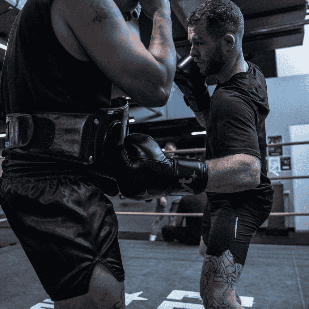 NYT Muay Thai Belly Pad - Image 5
